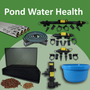 Pond Water Health