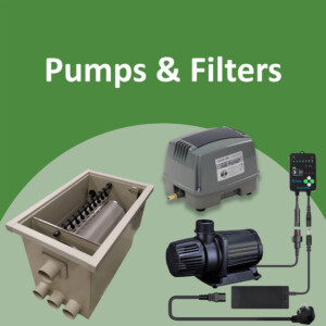 Pumps & Filters